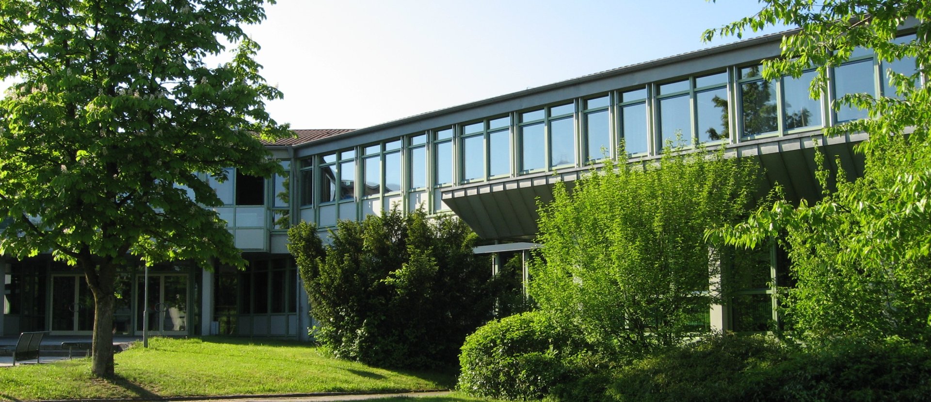 Schulhaus von Außen im Sommer mit viel grün