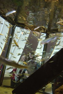 Comenius-Treffen in Grenaa, DK:
Besichtigung des Meeraquariums "Kattegatcentret"
Im Bild: Zwei deutsche Teilnehmerinnen betrachten eines der größten Meeresaquarien in Dänemark.