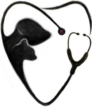 Logo Gesundheitsbereich